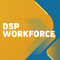 DSP Internship:  Get Paid, Get Mentored, Get Hired